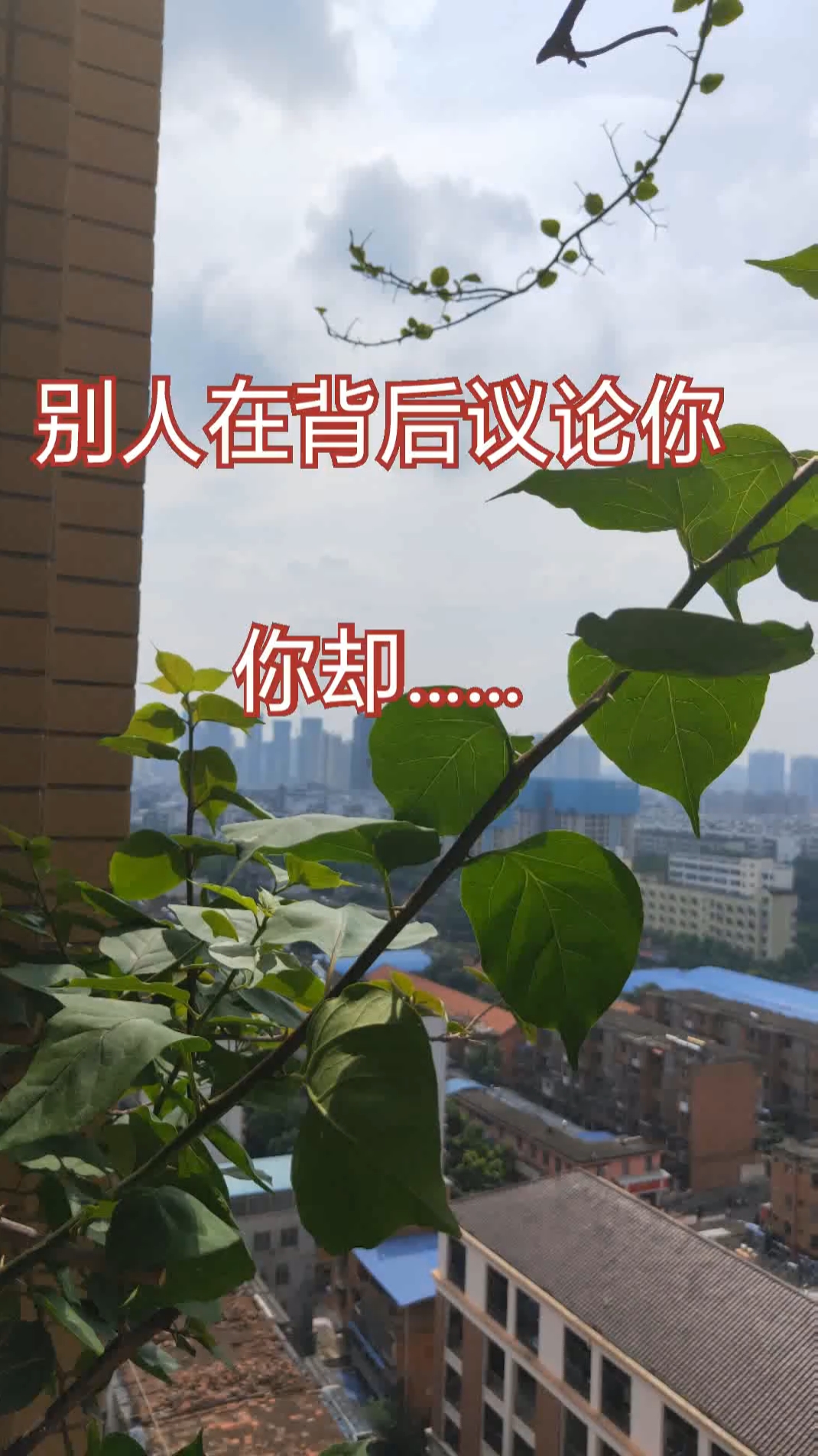 别人在背后议论你, 你却