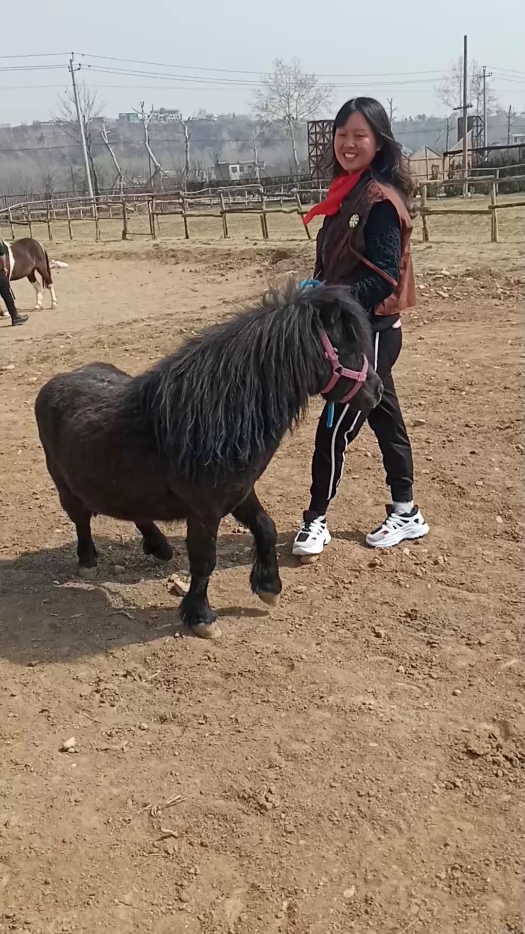 这个小蹦蹦,跟个小矮人似的!