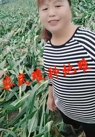 正能量乡村风景美女回到顶部明水县十(薇)99260886真实【上门]找服务