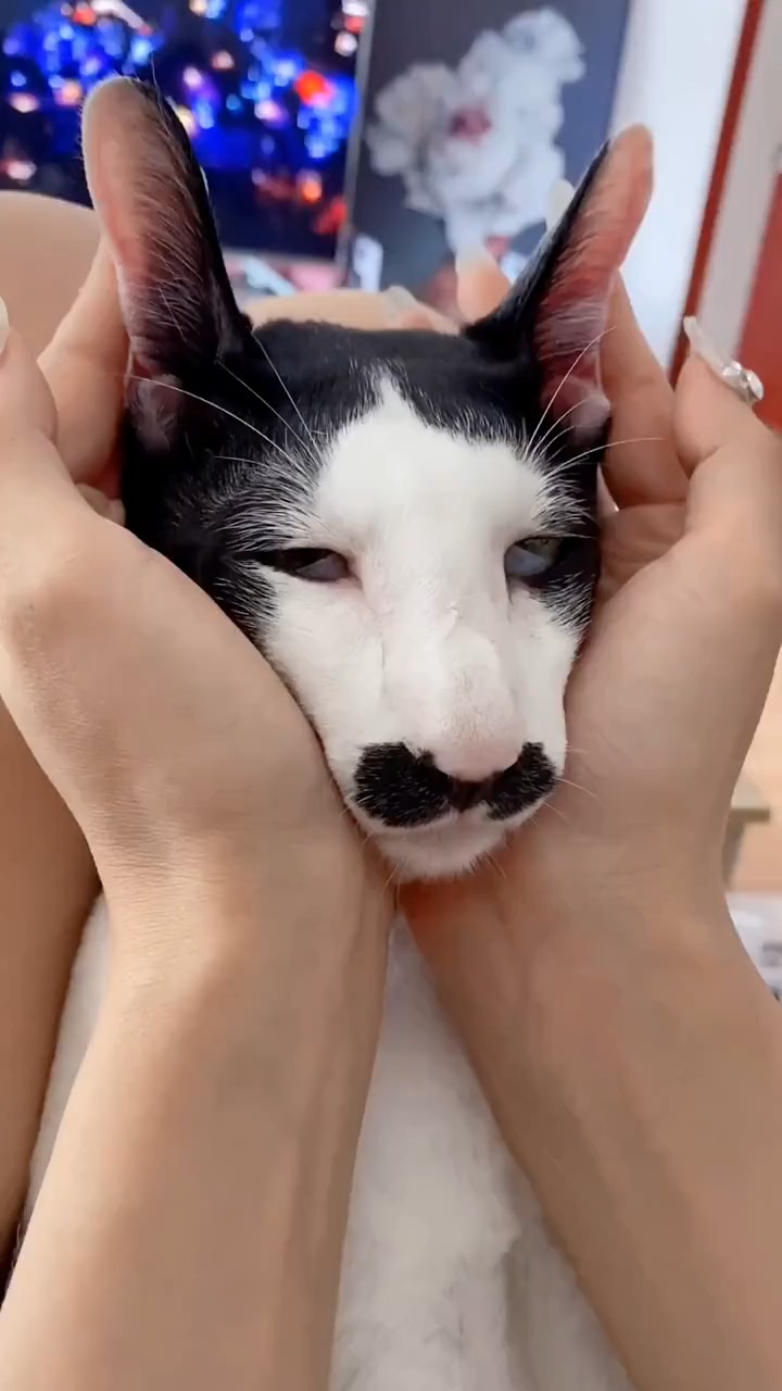 给你个眼神自己体会