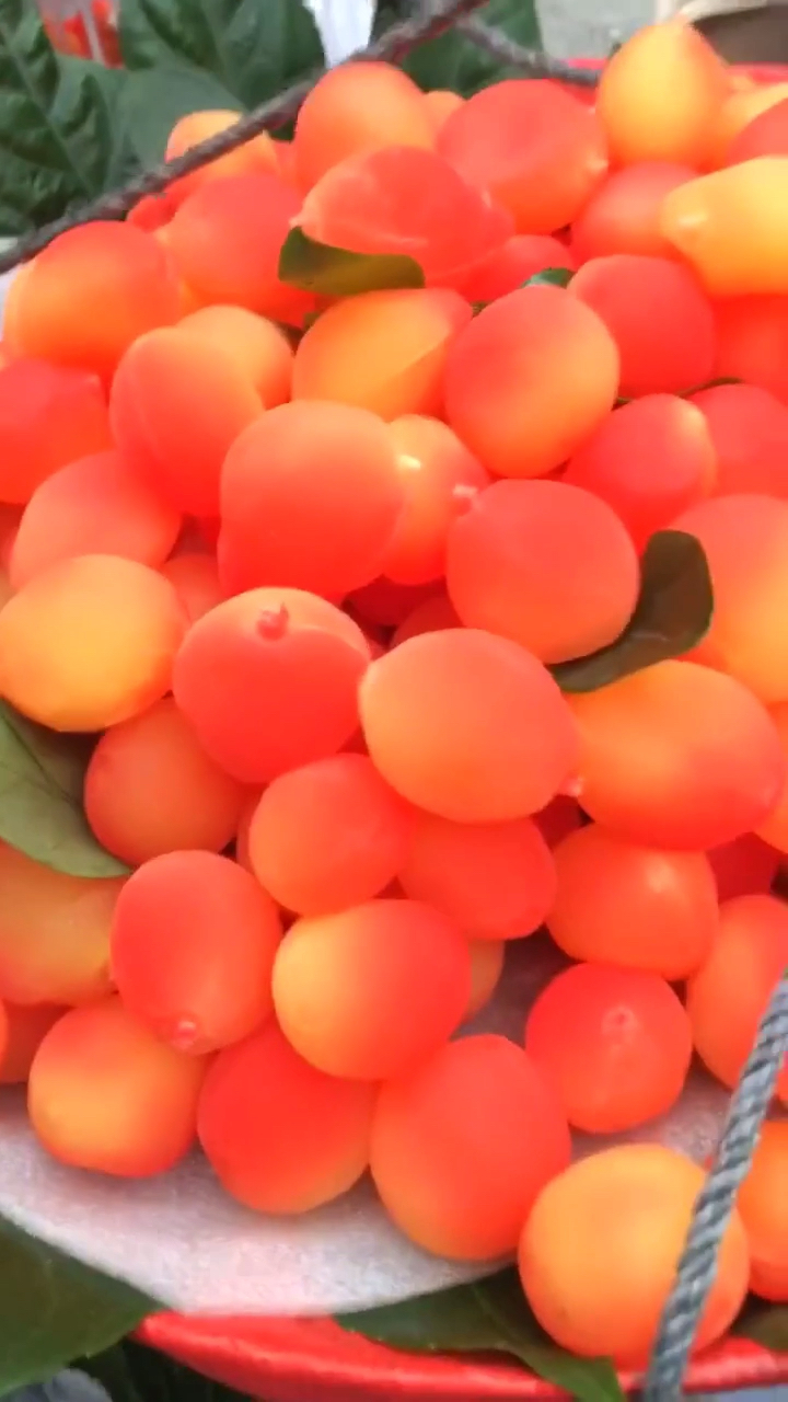 土味情话#成都宽窄巷子,有人在卖一种自称叫金西梅的"水果 "我吃了