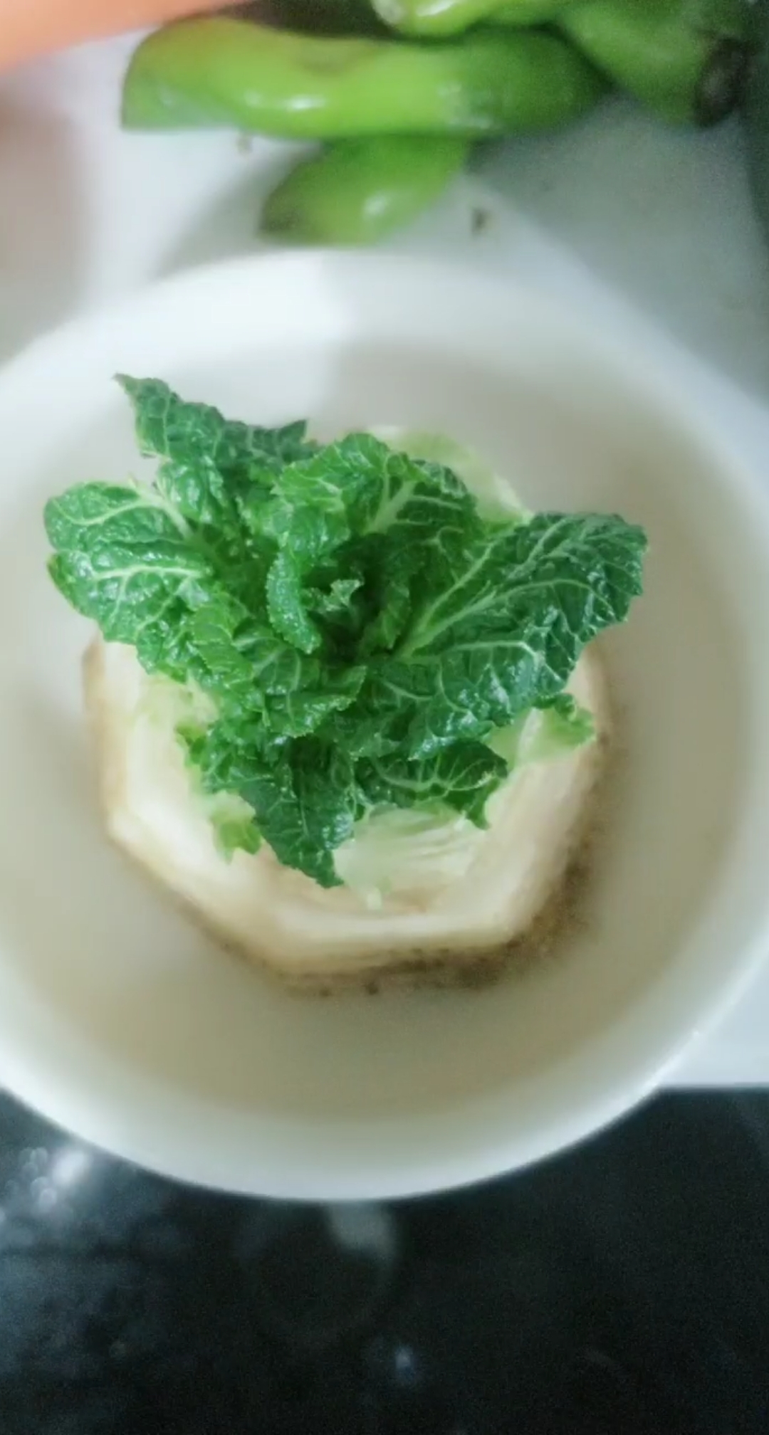 看看我养的发财菜,祝看见的朋友发财