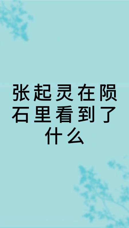 我来告诉你张起灵在陨石里看到了什么