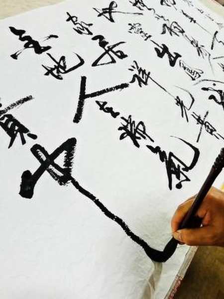 姜子龙书法-全民小视频