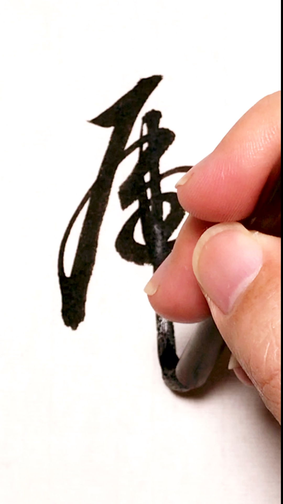 全民书法秀#草书一笔虎,这个字绕圈可真多!