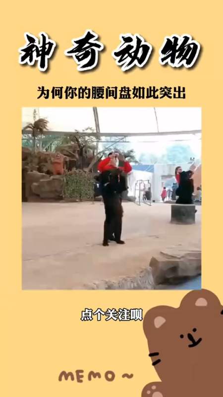 搞笑视频#为何就你的腰间盘如此突出