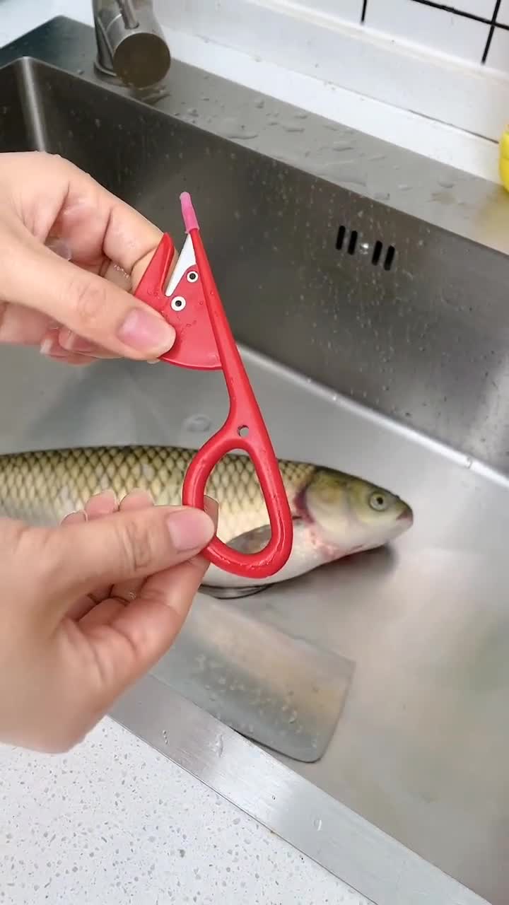 比筷子剪刀好用的通肠器,不管是鸡肠鸭肠鹅肠一通到底,好用.