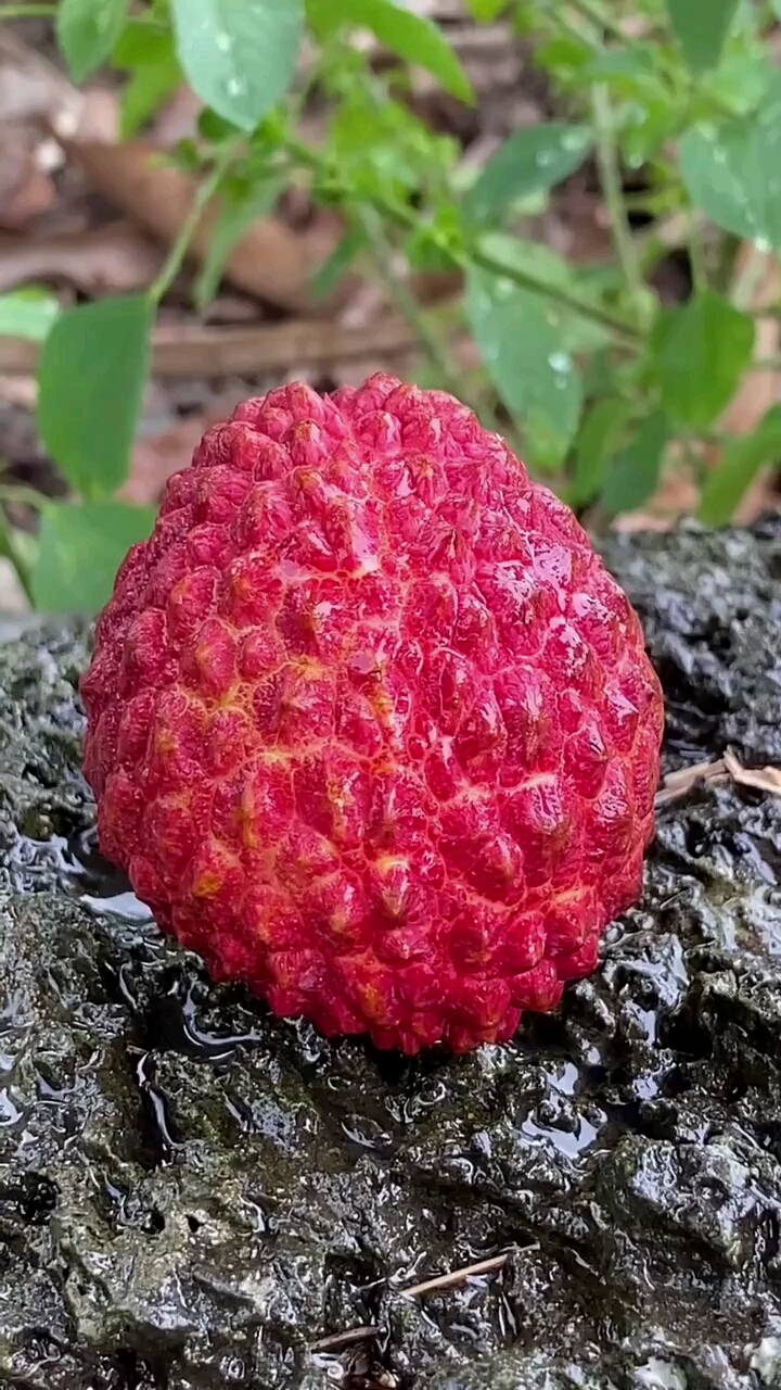 超大荔枝王满足你的口感