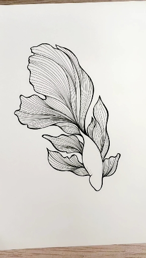 画画原来如此简单#一支笔画金鱼,不来一起画吗?