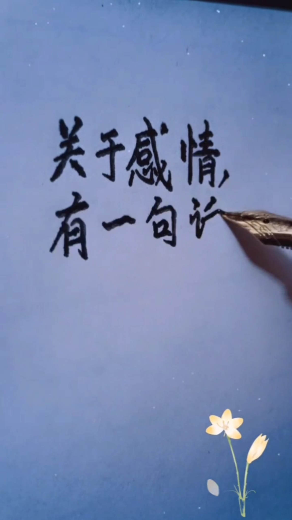 关于感情,有一句话说的特别好