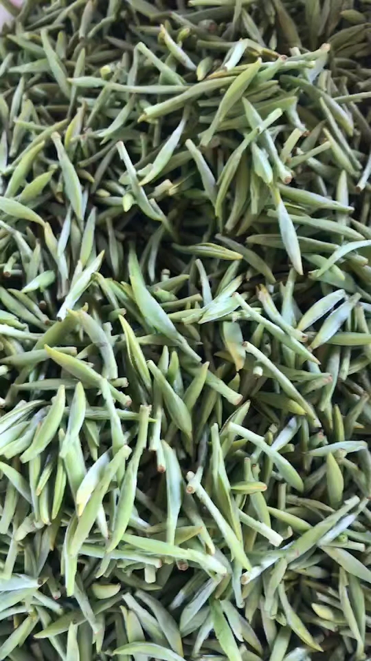 东山特级碧螺春芽尖