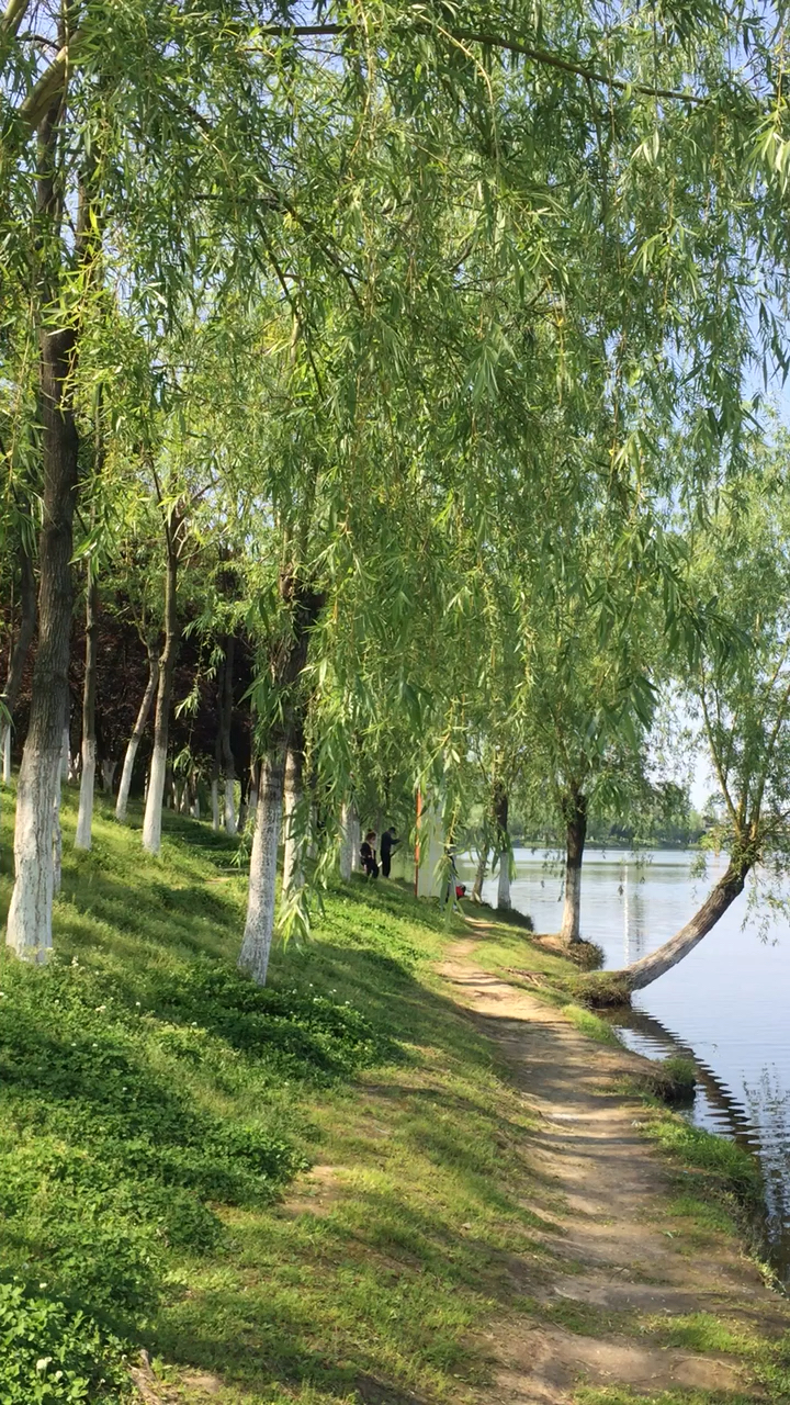 周日游公园一槐荫公园