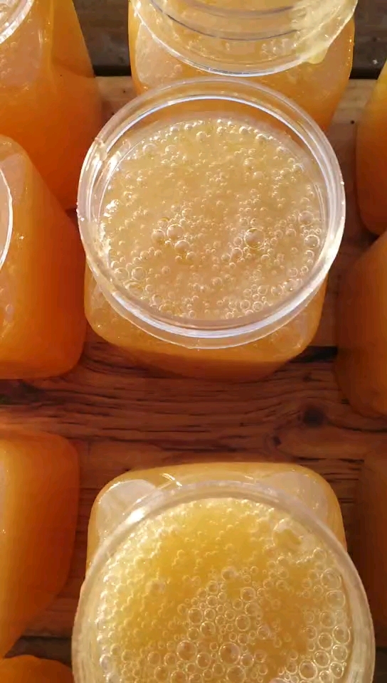 看起来太漂亮了,结晶的五倍子蜂蜜