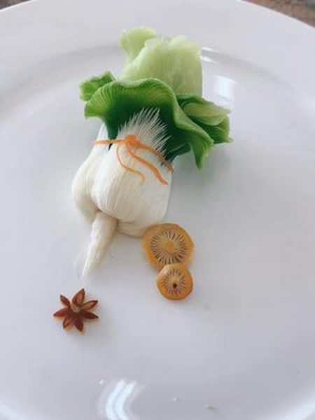 白菜魅力全开食品雕刻烹饪百财