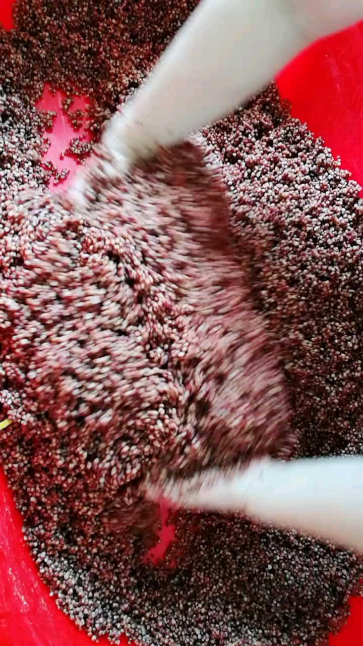 自己做自己喝纯高粱好喝不上头!