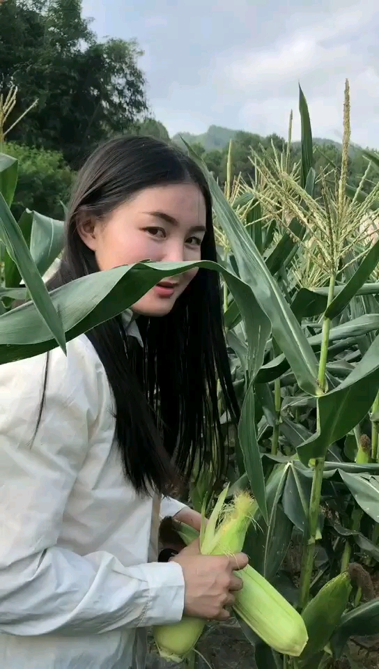 偷玉米的小姐姐