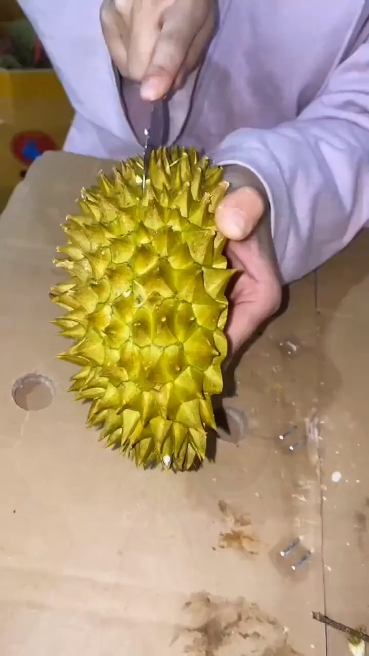 垃圾桶里捡的,开榴莲一定要仔细检查