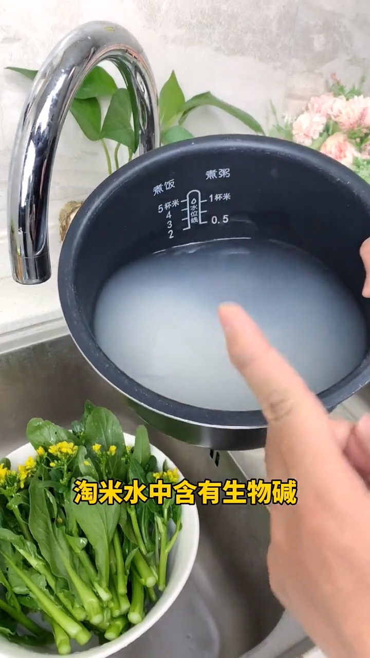 生活小妙招#淘米水的妙用,你知道吗?#生活小知识