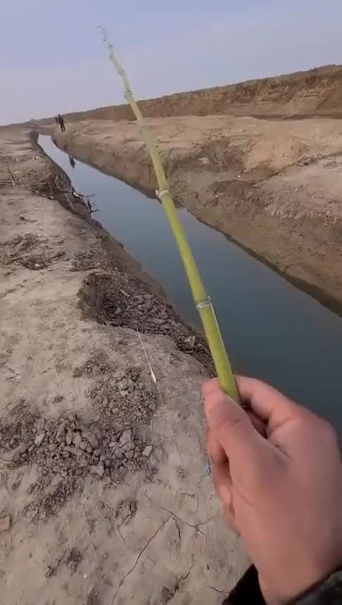 作为一个钓鱼人,拿竹竿是我最后的倔强,钓鱼只是爱好和身价无关