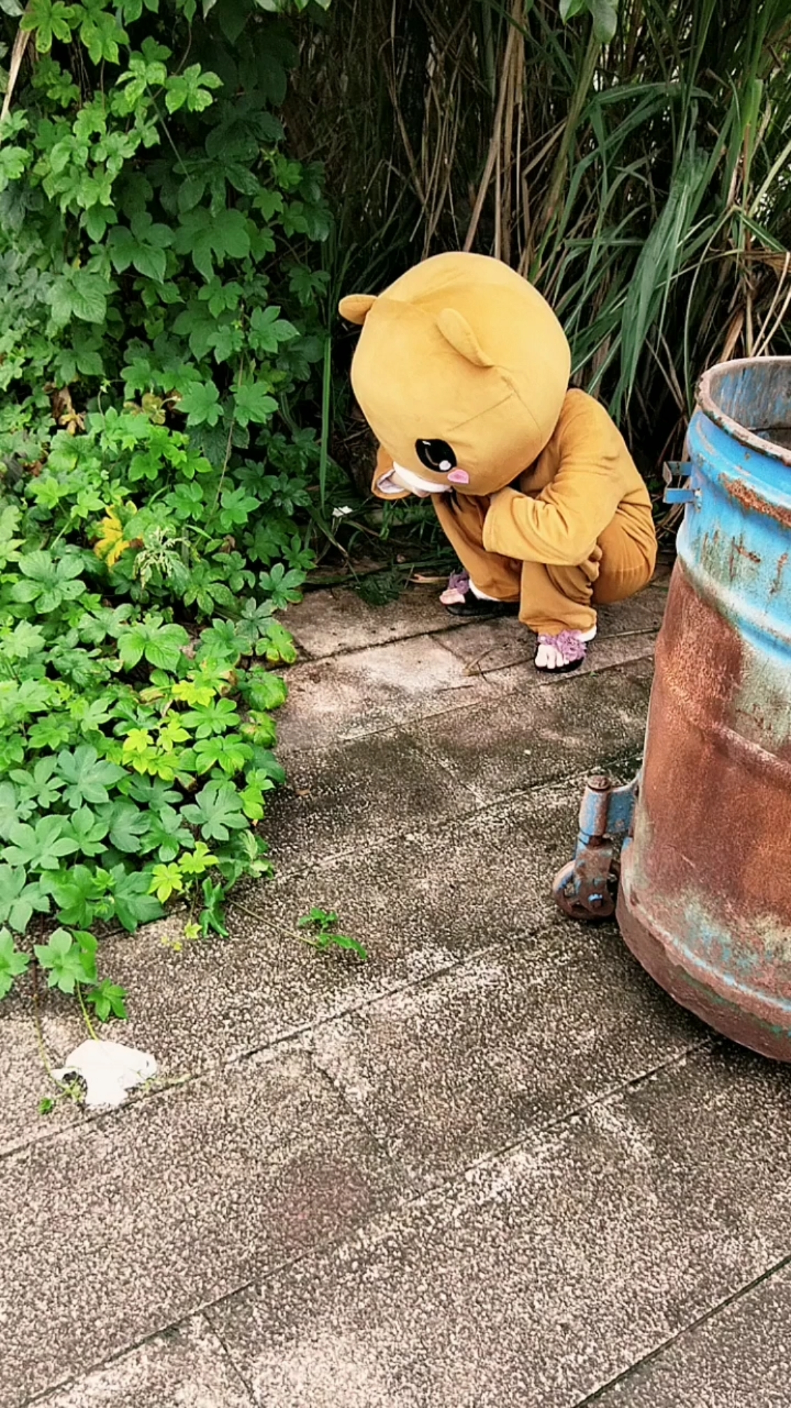 垃圾桶旁边有一只无家可归的小熊,注意看她在干嘛.