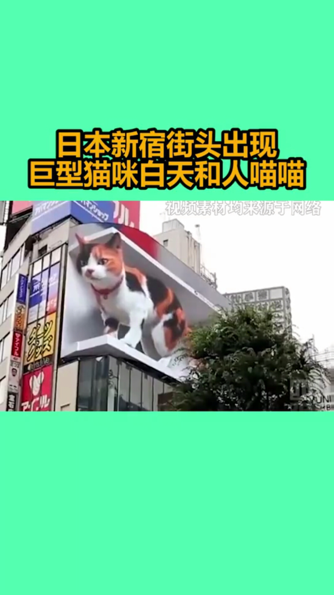 日本新宿街头出现巨型猫咪,白天和人喵喵
