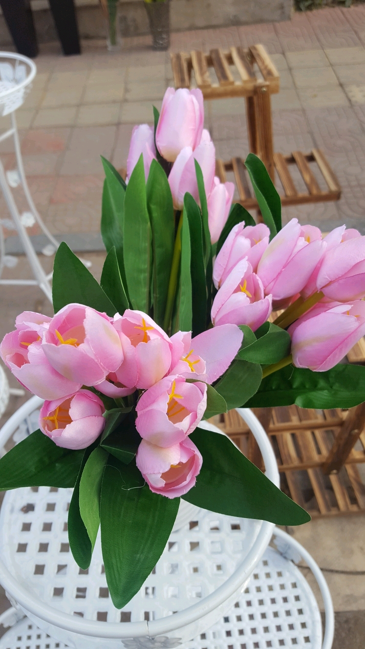 各种各样的花朵漂亮极了
