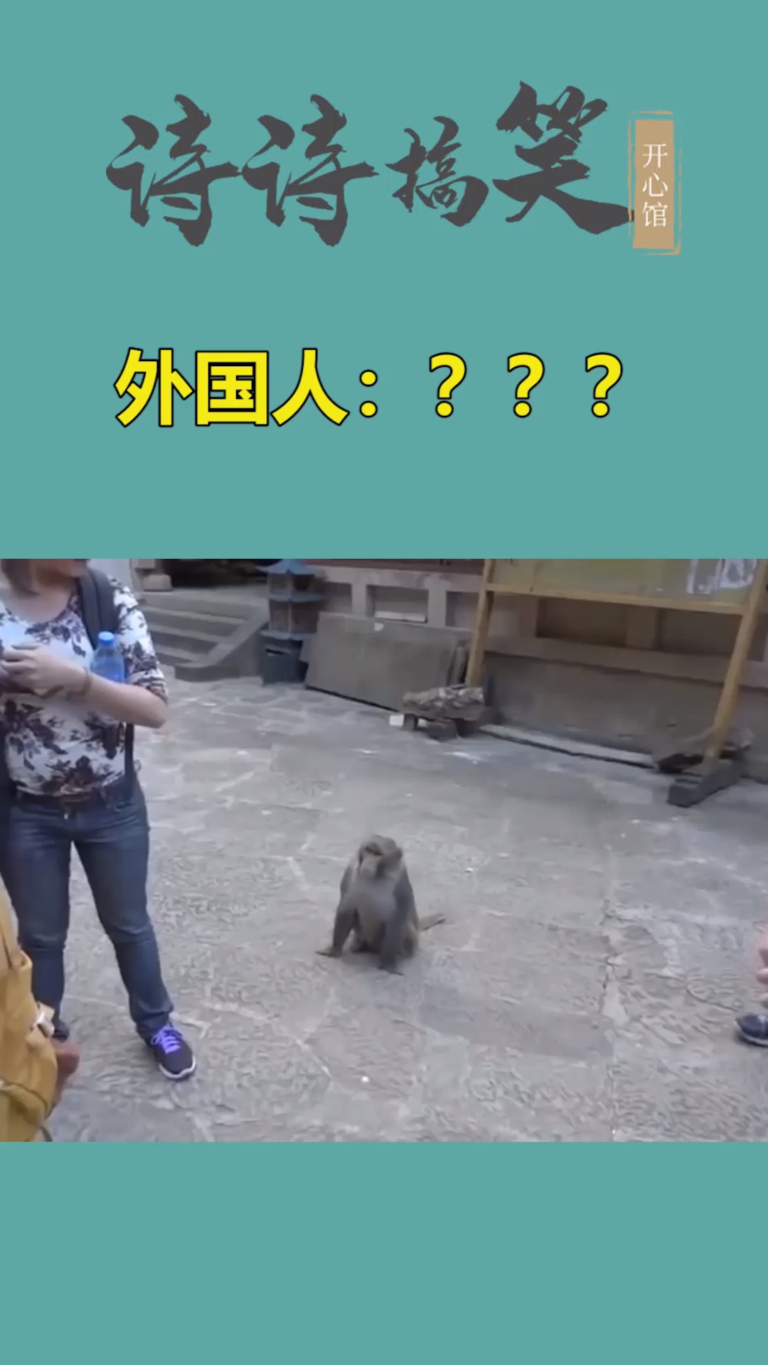 我家萌宠成精了#外国人第一次见到峨眉山的猴子