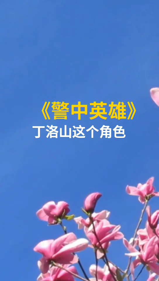 丁洛山公安局长是哪部电视剧