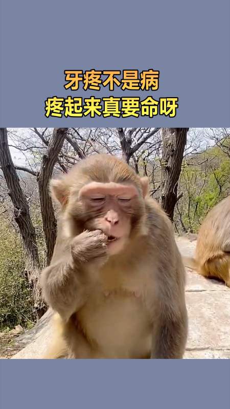 我要上热门#牙疼不是病,疼起来真要命呀