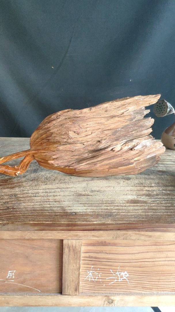 太行崖柏雷击木随形扇子,香味扑鼻