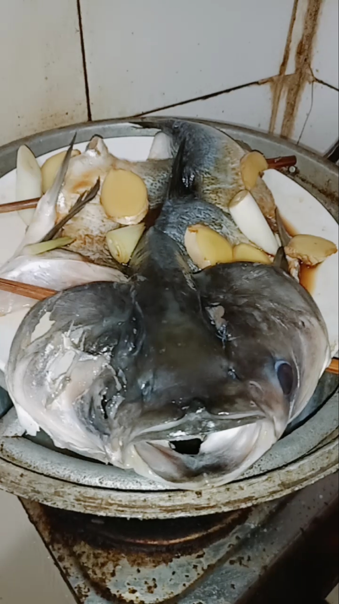 这鱼整得也是没谁了奥