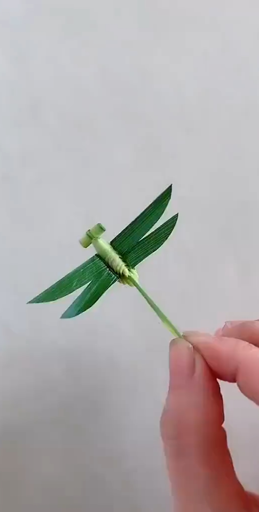 民间艺术#棕榈叶做成蜻蜓,你会了吗?