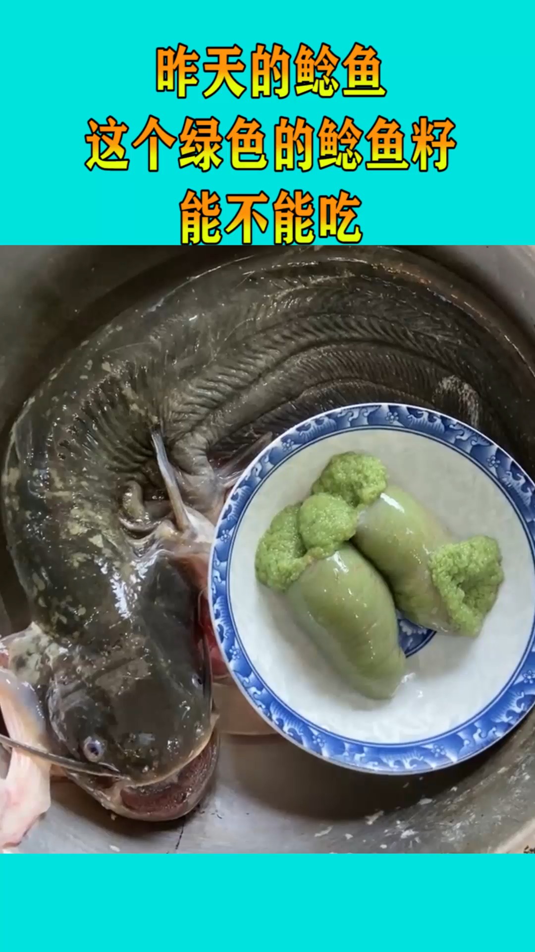 昨天的鲶鱼,这个绿色的鲶鱼籽,能不能吃?