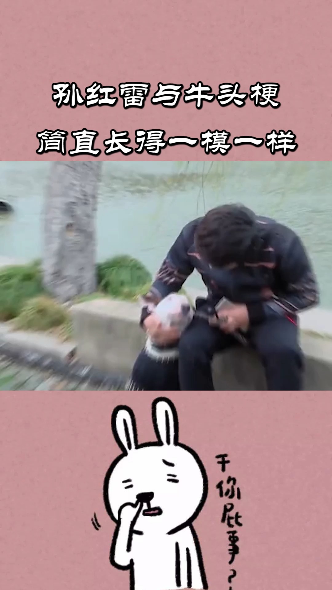 孙红雷与牛头梗简直长得一模一样