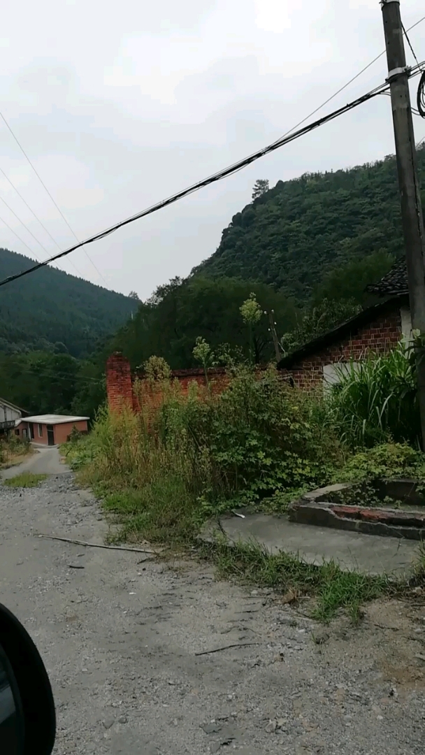 农村山里的环境