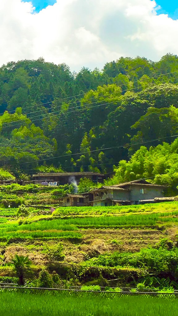 家鄉的早晨,炊煙裊裊,雞犬相聞還是記憶中小時候的樣子家童年回憶田園