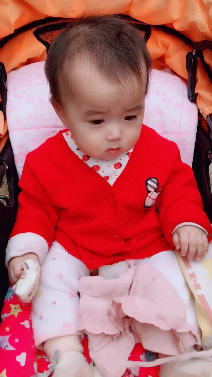 红孩儿,没出来遛习惯