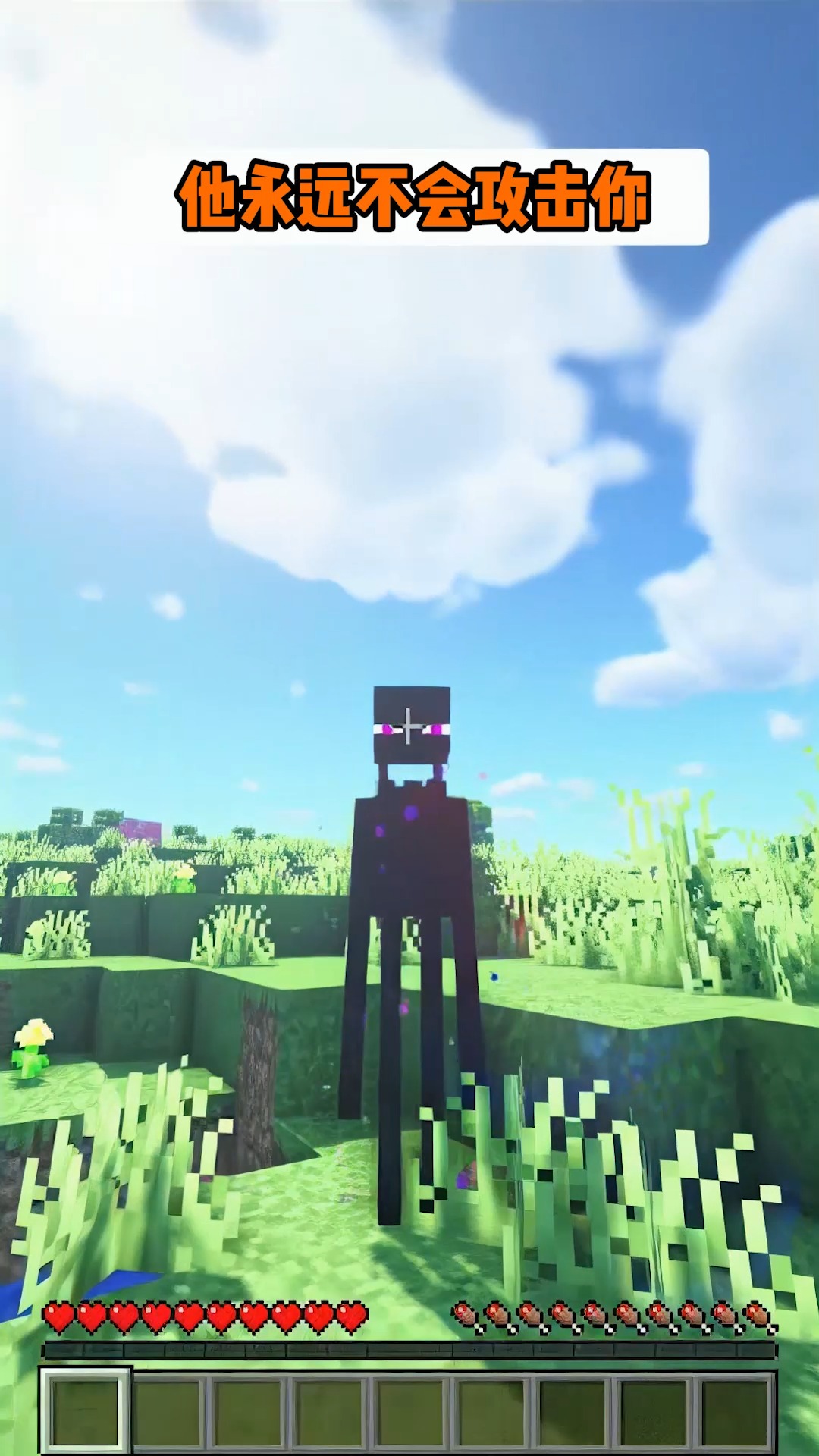 我的世界#我的世界:你知道么,如果你与末影人保持眼神交流,他永远不