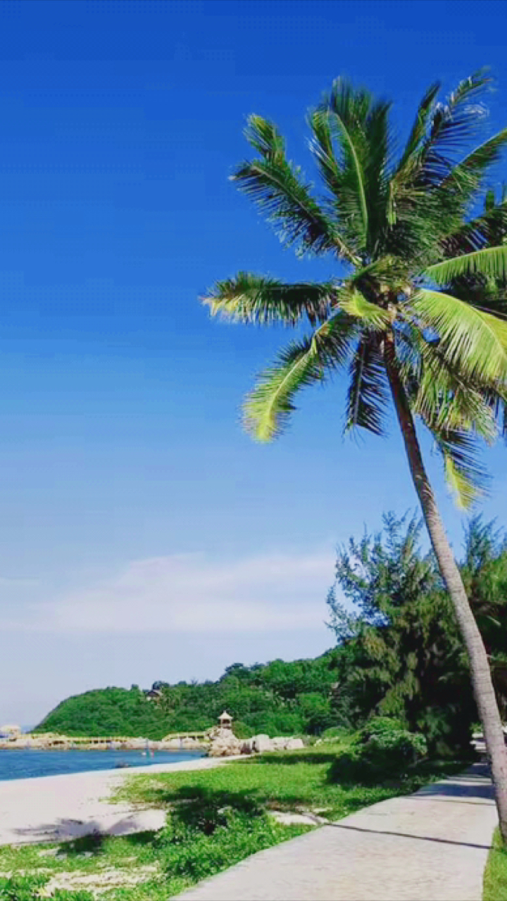 带上全民去旅行#海南美炸天