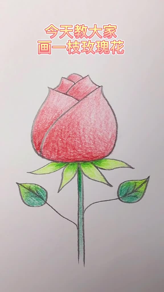 教师节不知道画什么?送老师一朵玫瑰花吧!
