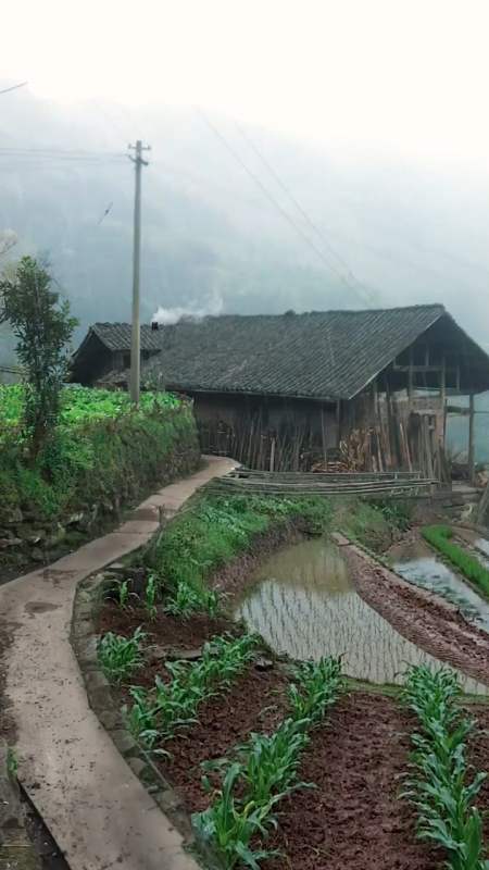这就是真实的农村,一个偏僻的小山村,以前有一百多户人家,现只剩下这