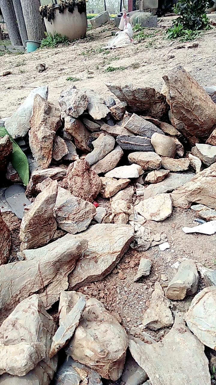 前几天挖的灵璧磬石原石