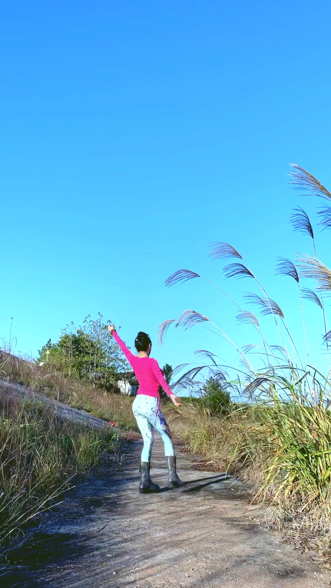 让风带走我的烦恼