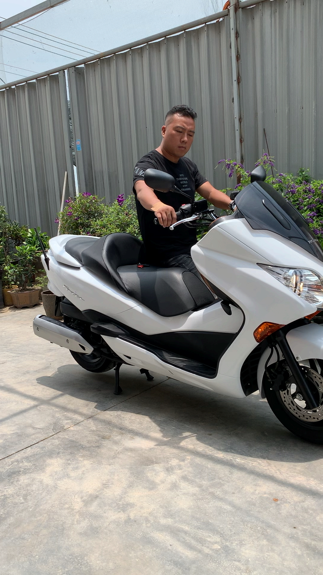 本田 佛沙250 音乐版