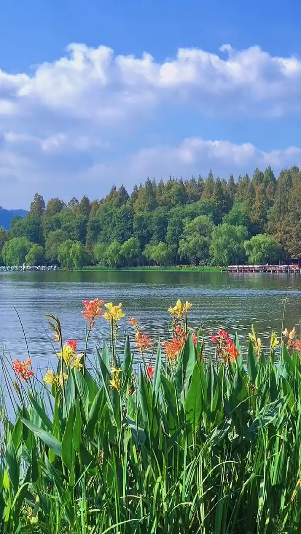 实拍杭州西湖美景真是太美了