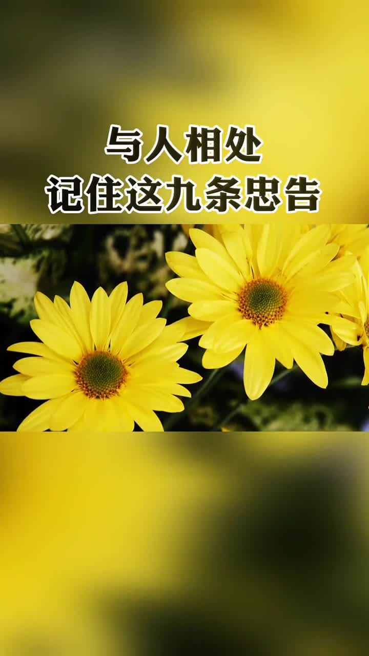 创作灵感与人相处一定要记住这九条忠告人生感悟正能量智慧