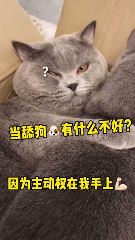 450_800竖版 竖屏