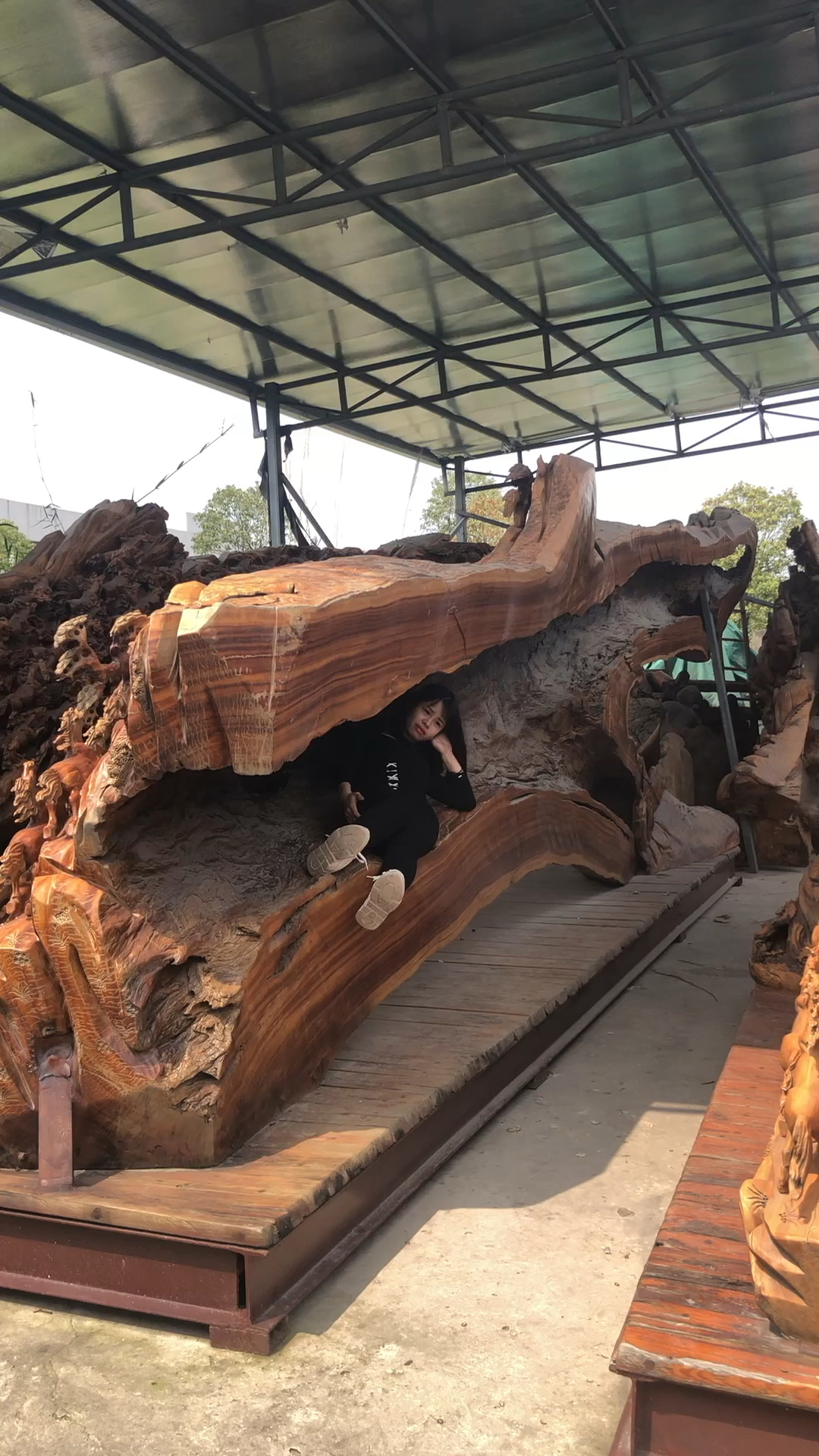 十年树床生活三十辆宝马都不换