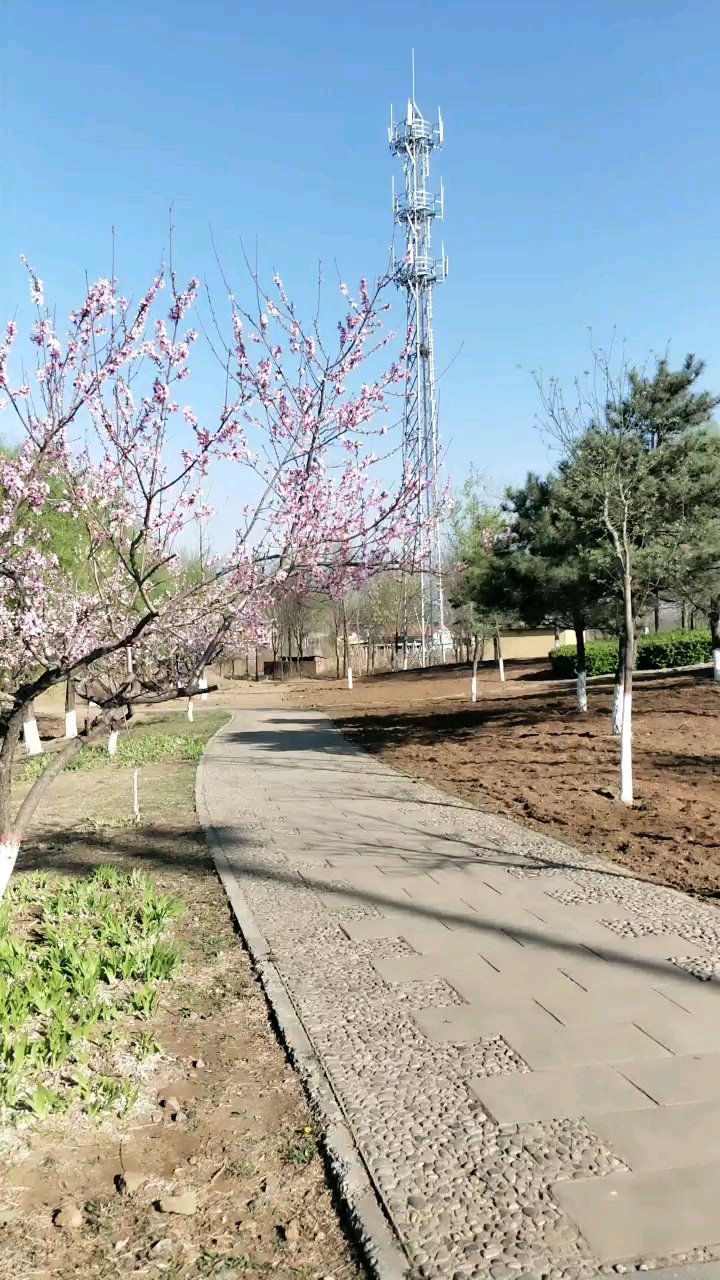 春天來了,遵化市西三里鄉人民公園