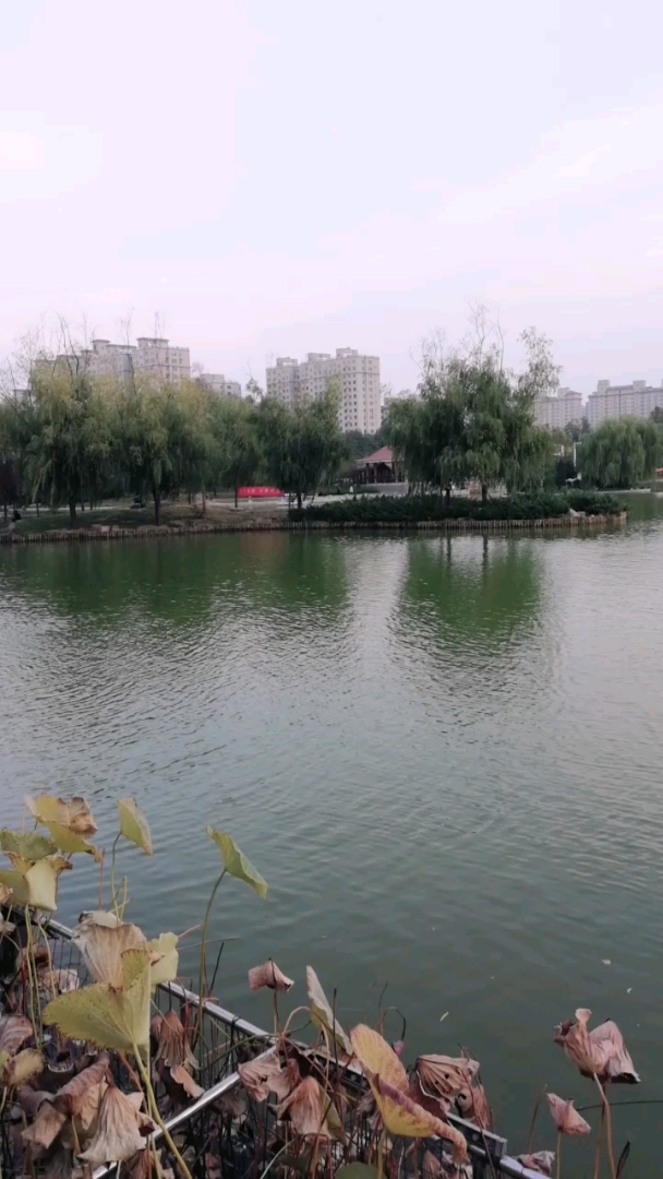 林州市人民公园